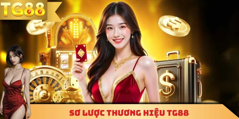 Sơ lược thương hiệu TG88
